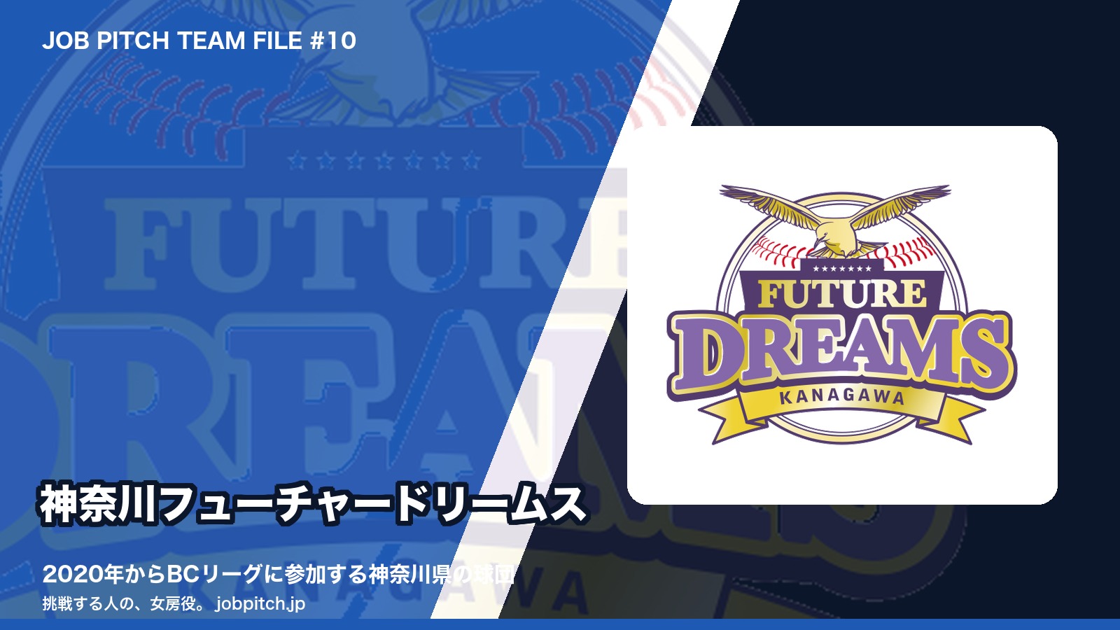 神奈川フューチャードリームスとは？神奈川県を拠点とするBCリーグ球団