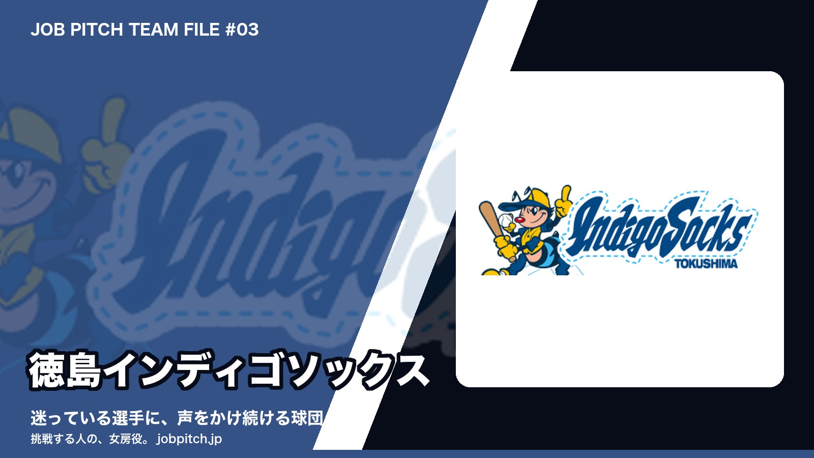 徳島インディゴソックス特集のアイキャッチ